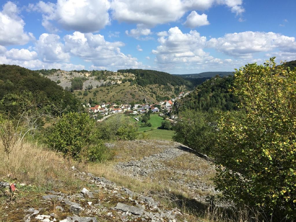 Haus "Am Muehlheimer Berg" Mörnsheim エクステリア 写真
